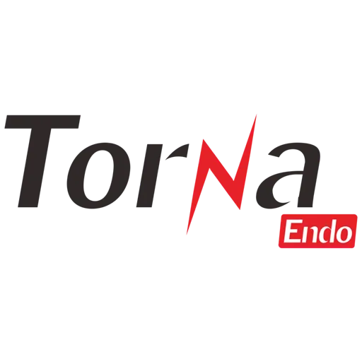 TORNA logo