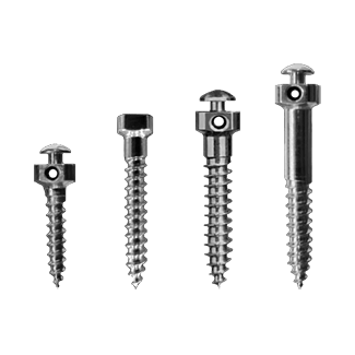 Ortho Screws and Mini Implants image