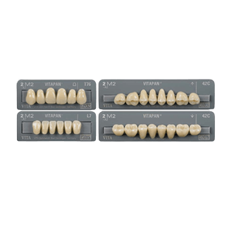 Denture Teeth image