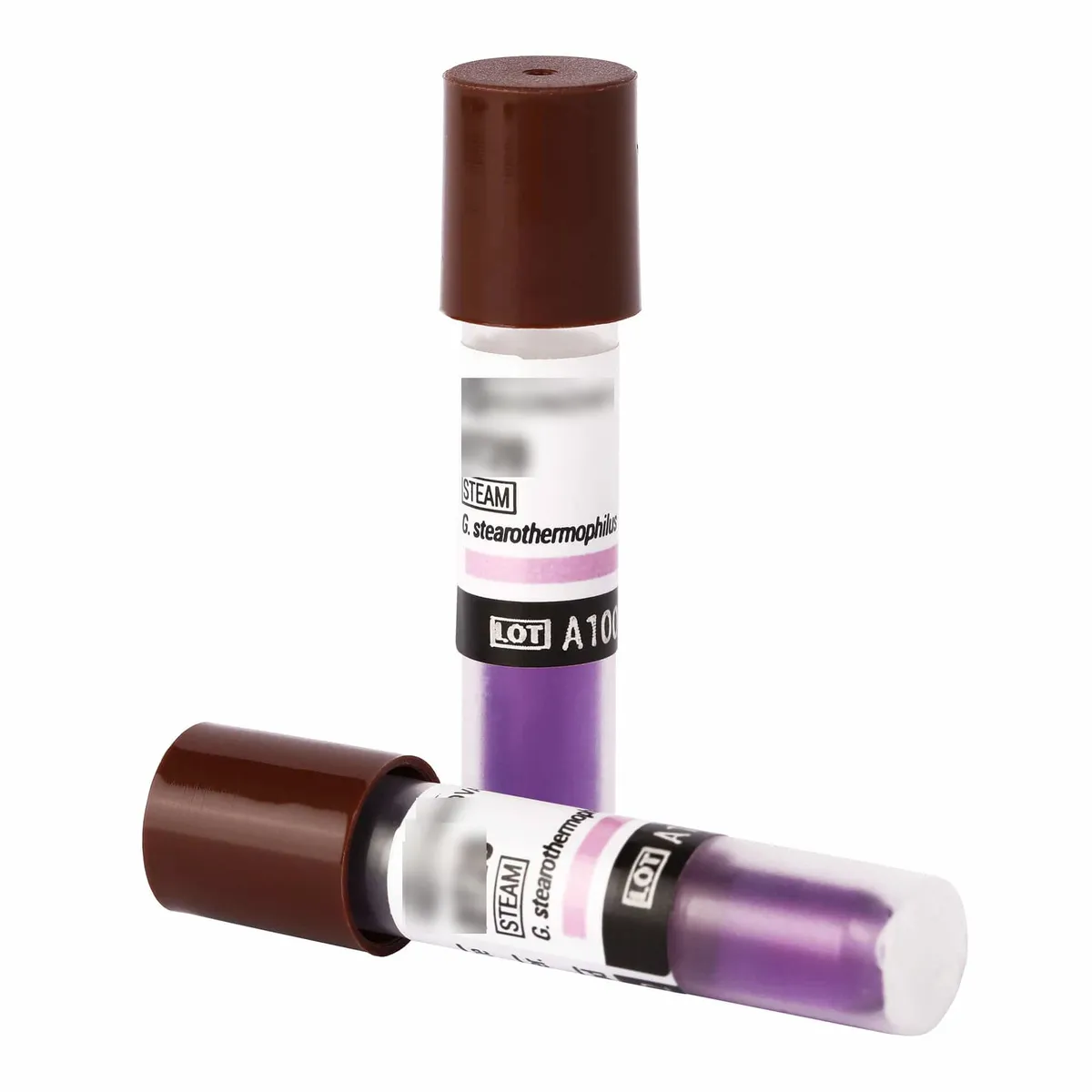 2i Biological Indicator 24H (50 Pack)