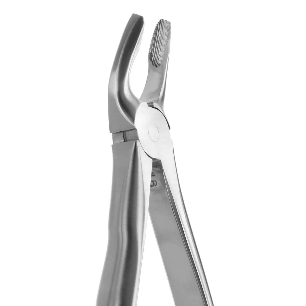 Tooth Forceps Blade Beaks N.7