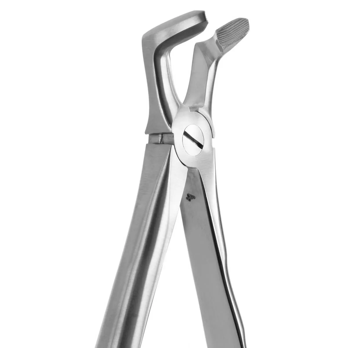 Tooth Forceps Blade Beaks N.79