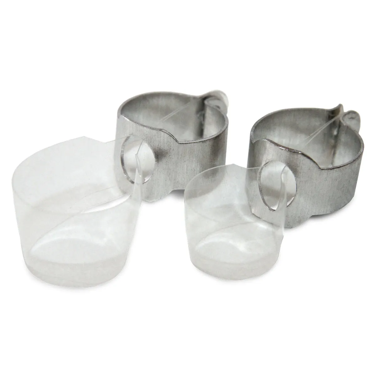 Transparent Matrix with Fixing System, Large Size, Molar