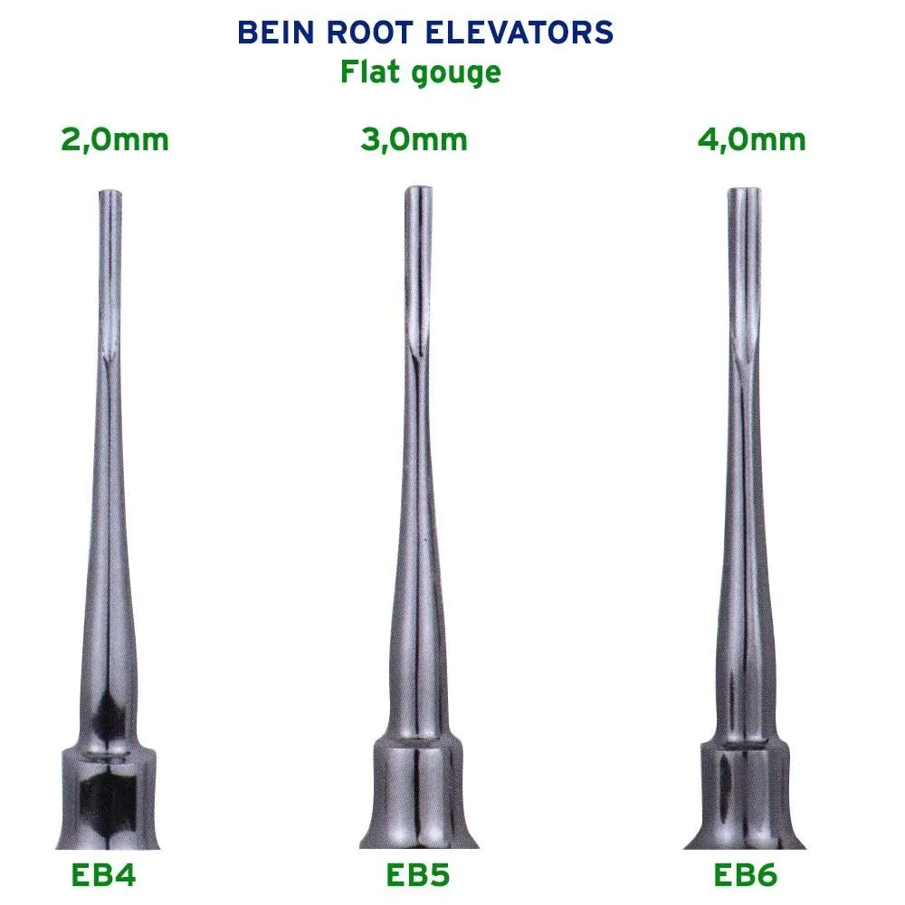 مجموعة رافعات جذور الأسنان، 3 قطع، Bein Flat Gouge 2.0mm, 3.0mm, 4.0mm