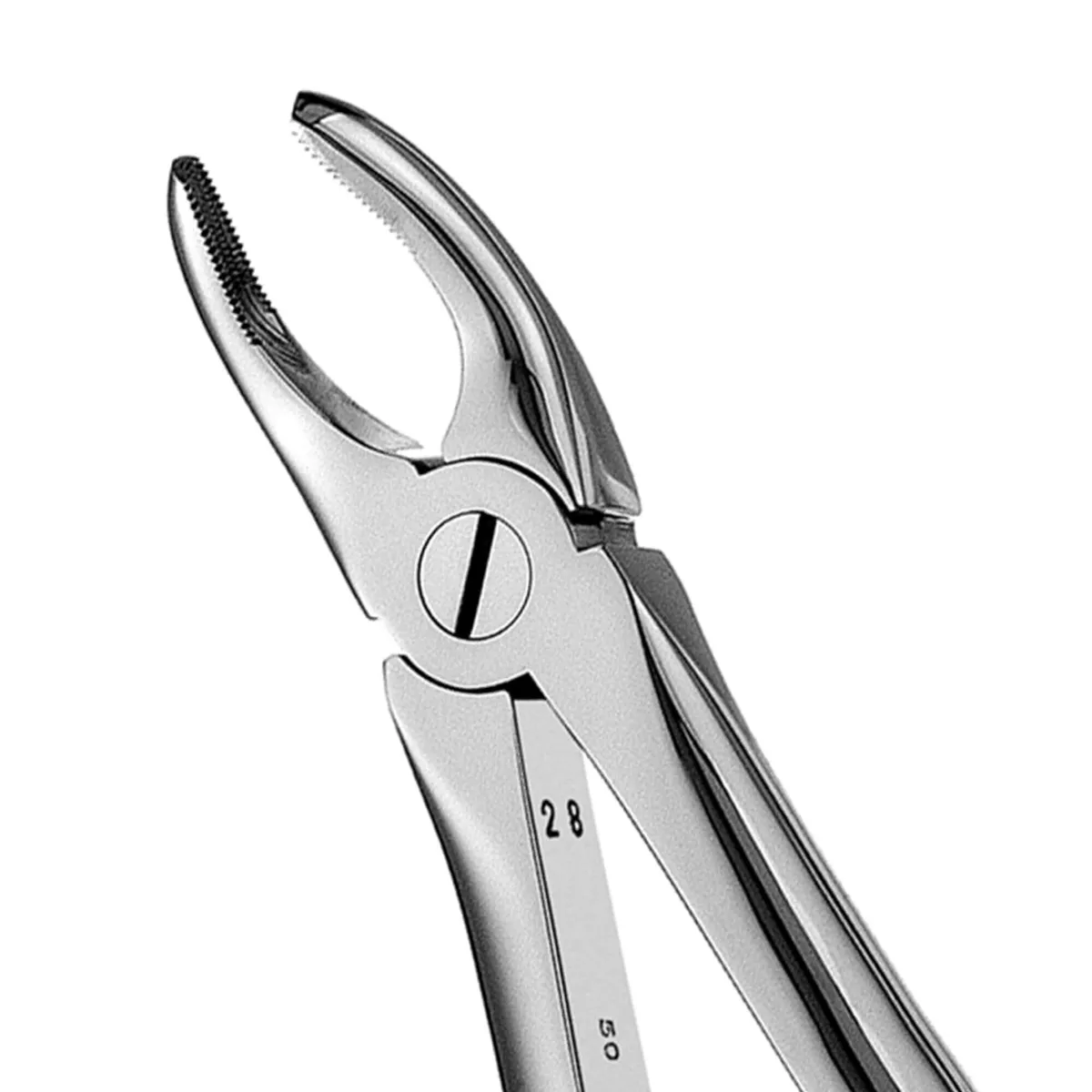 Upper Premolars Forceps #7