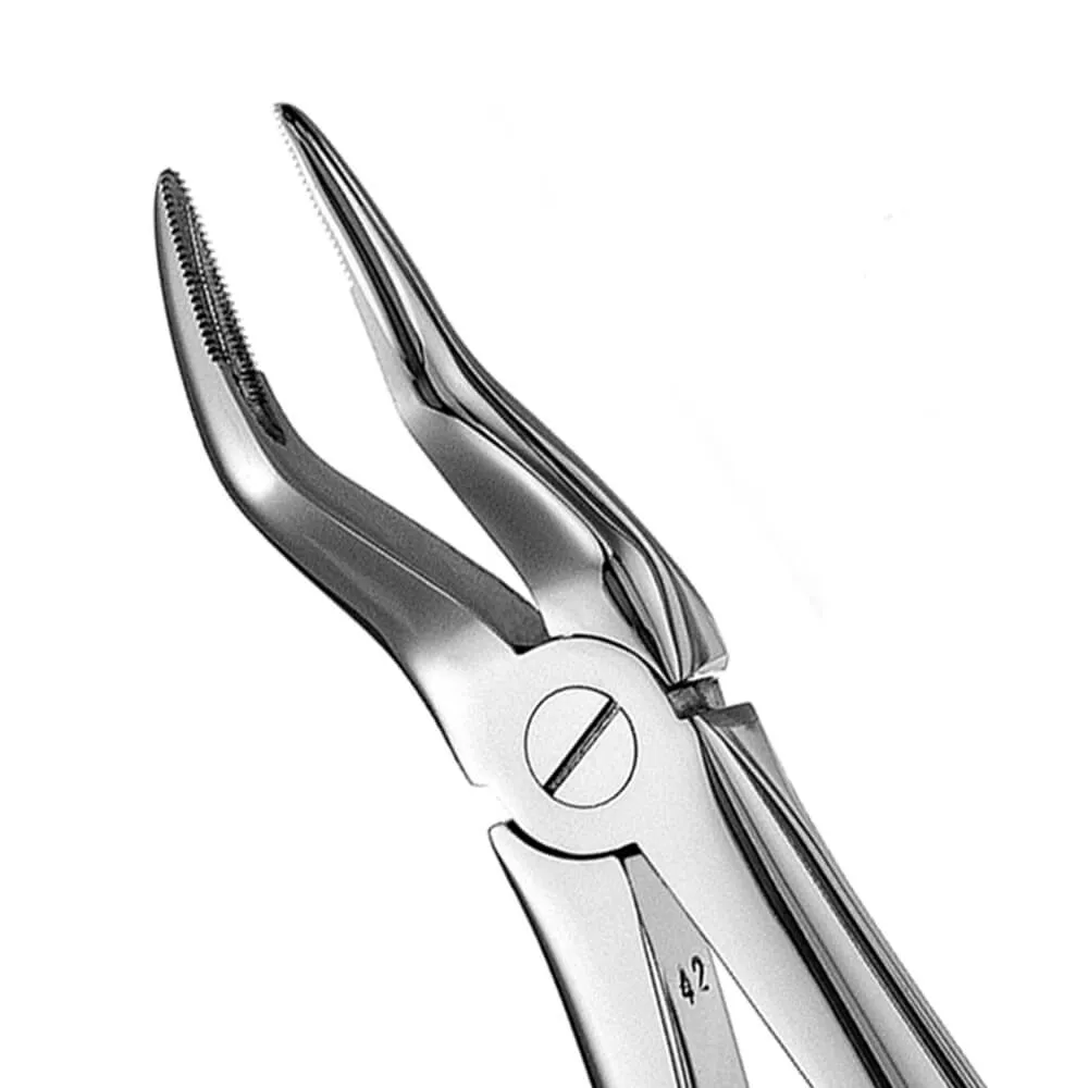 European Style Forceps #51