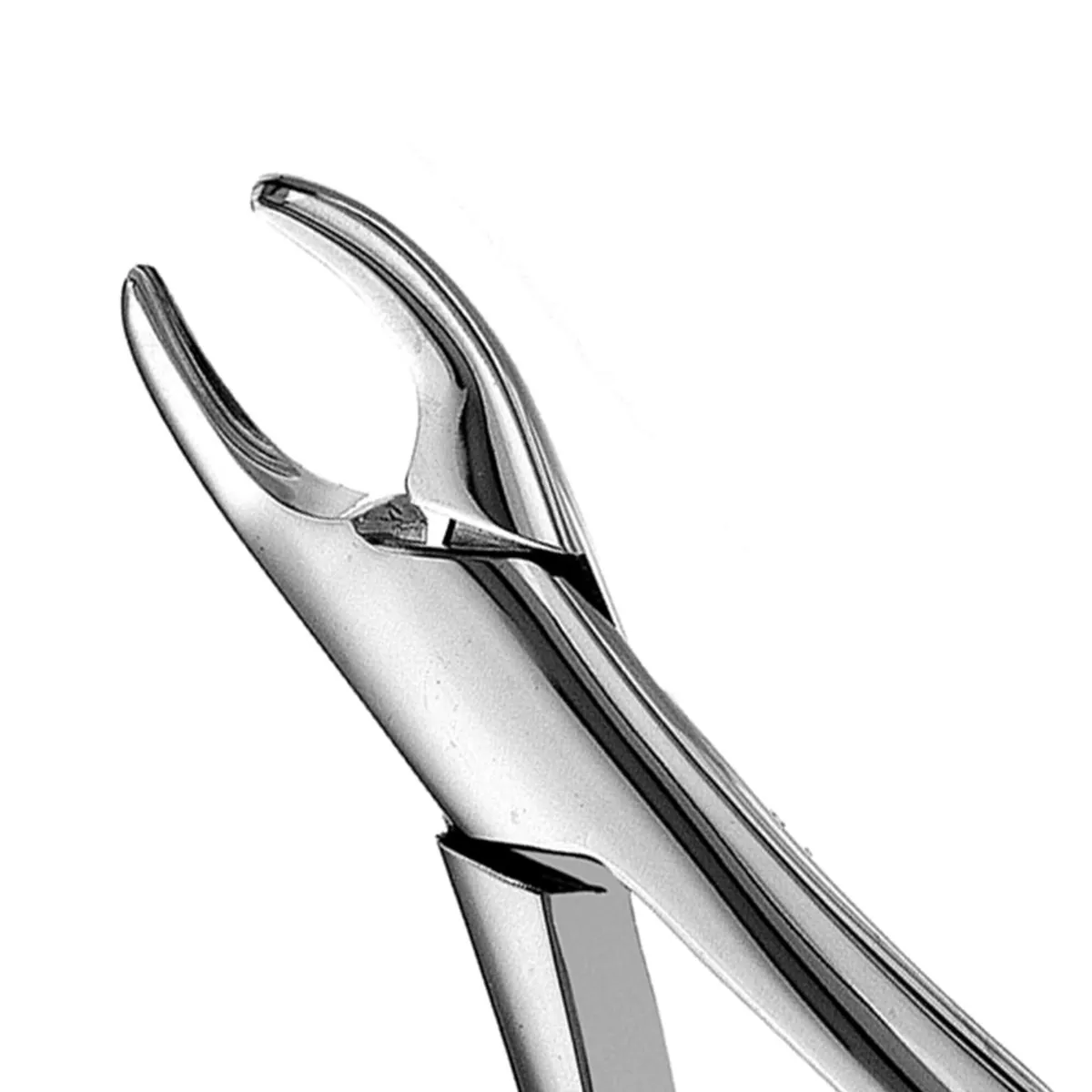 Cryer Anterior Teeth Extraction Forceps #150