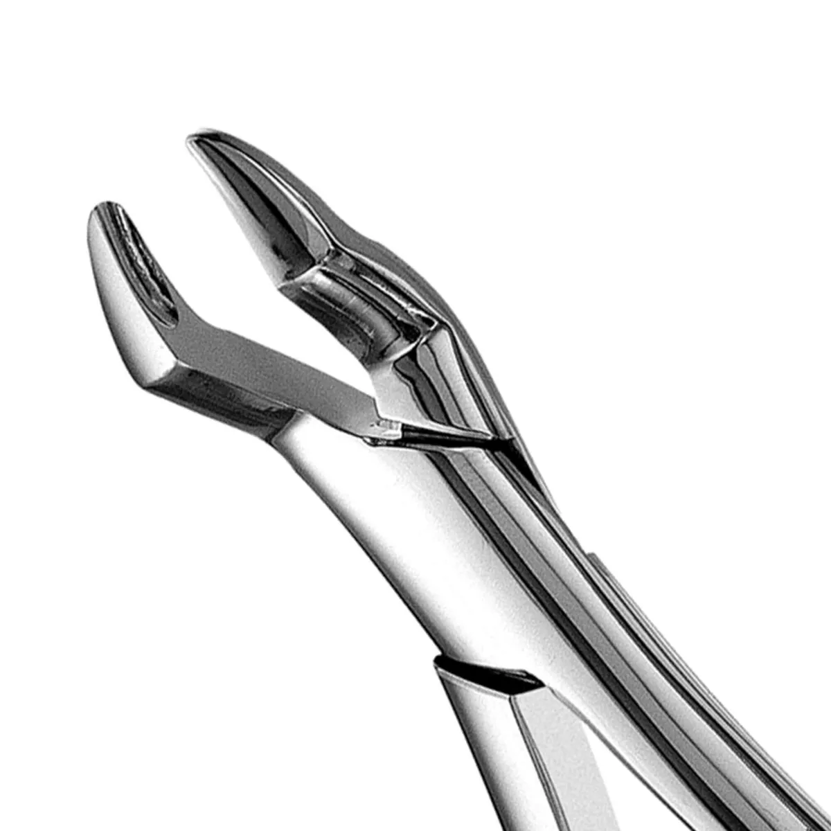 Upper Molars Extraction Forceps #10