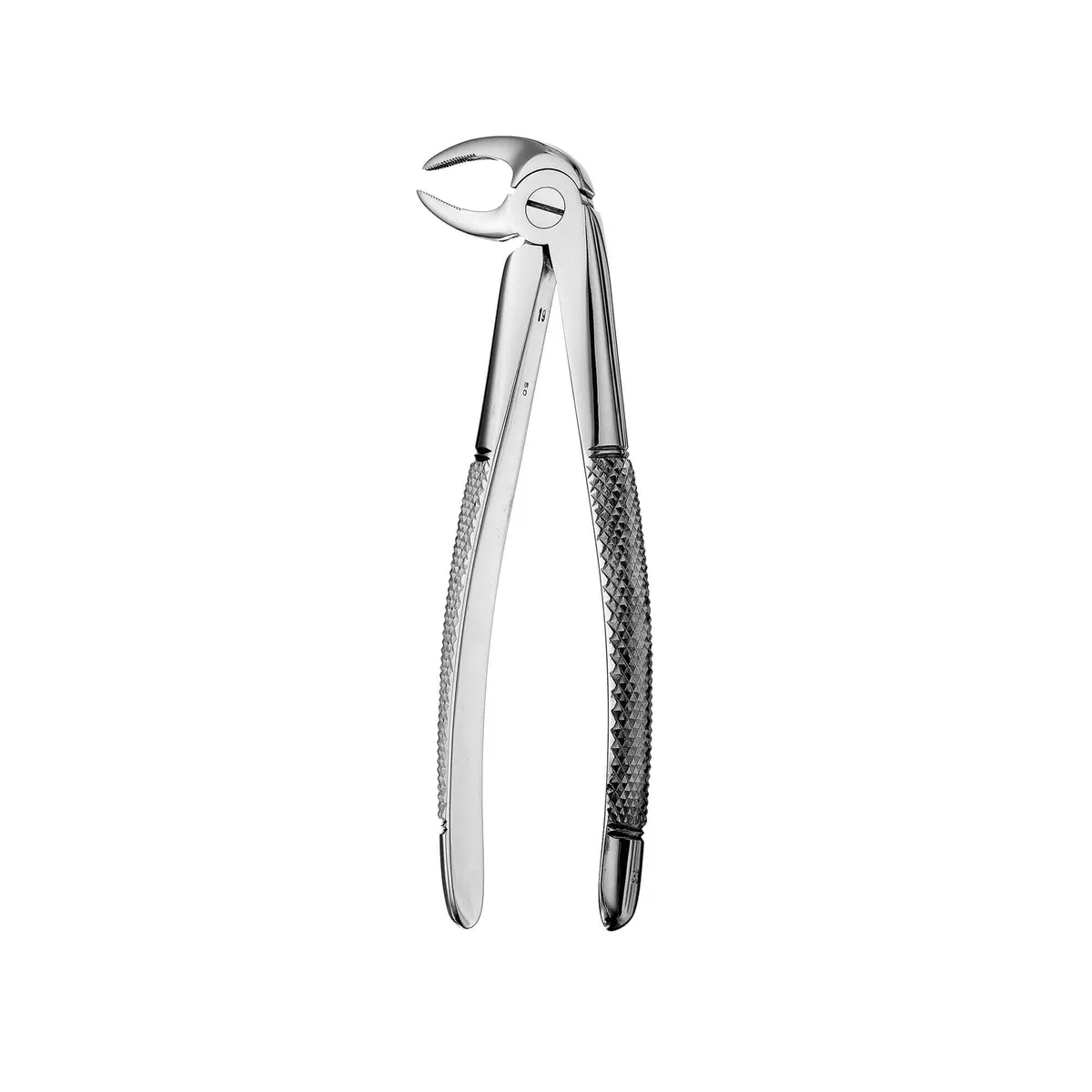 Lower Roots Forceps #33