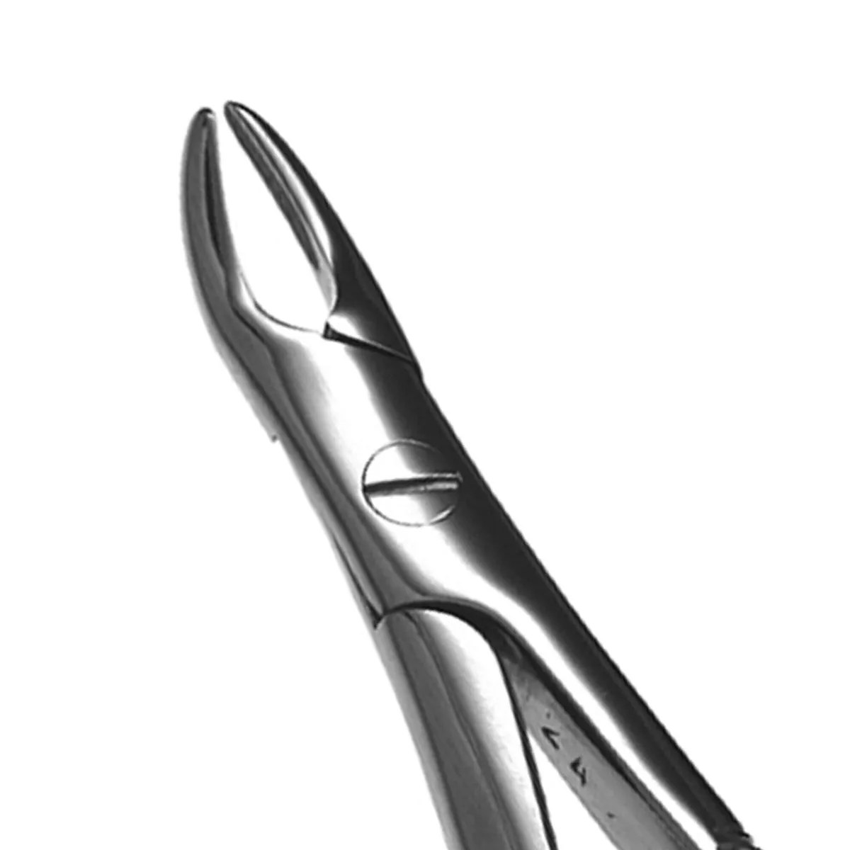 Upper Roots Forceps #76S
