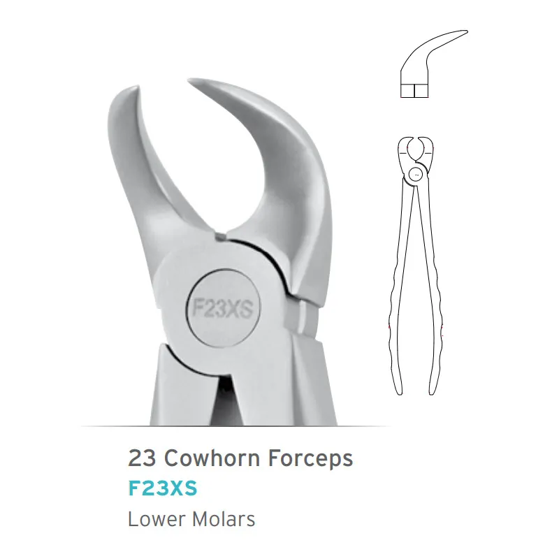 Lower Molars Cowhorn Forceps #23 Atraumair