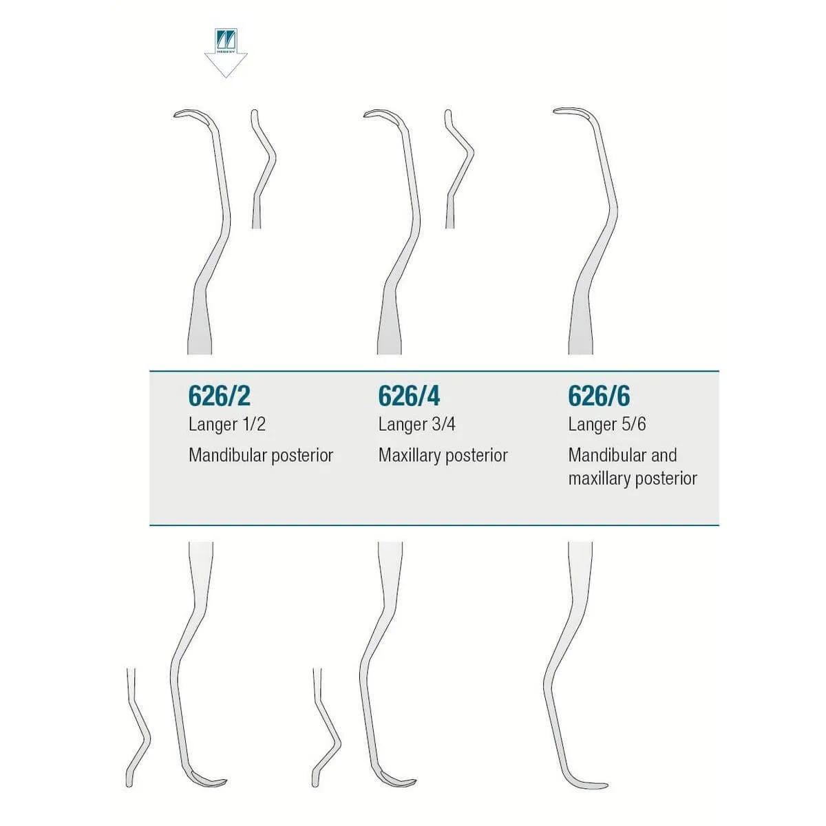 Curette Langer 1/2