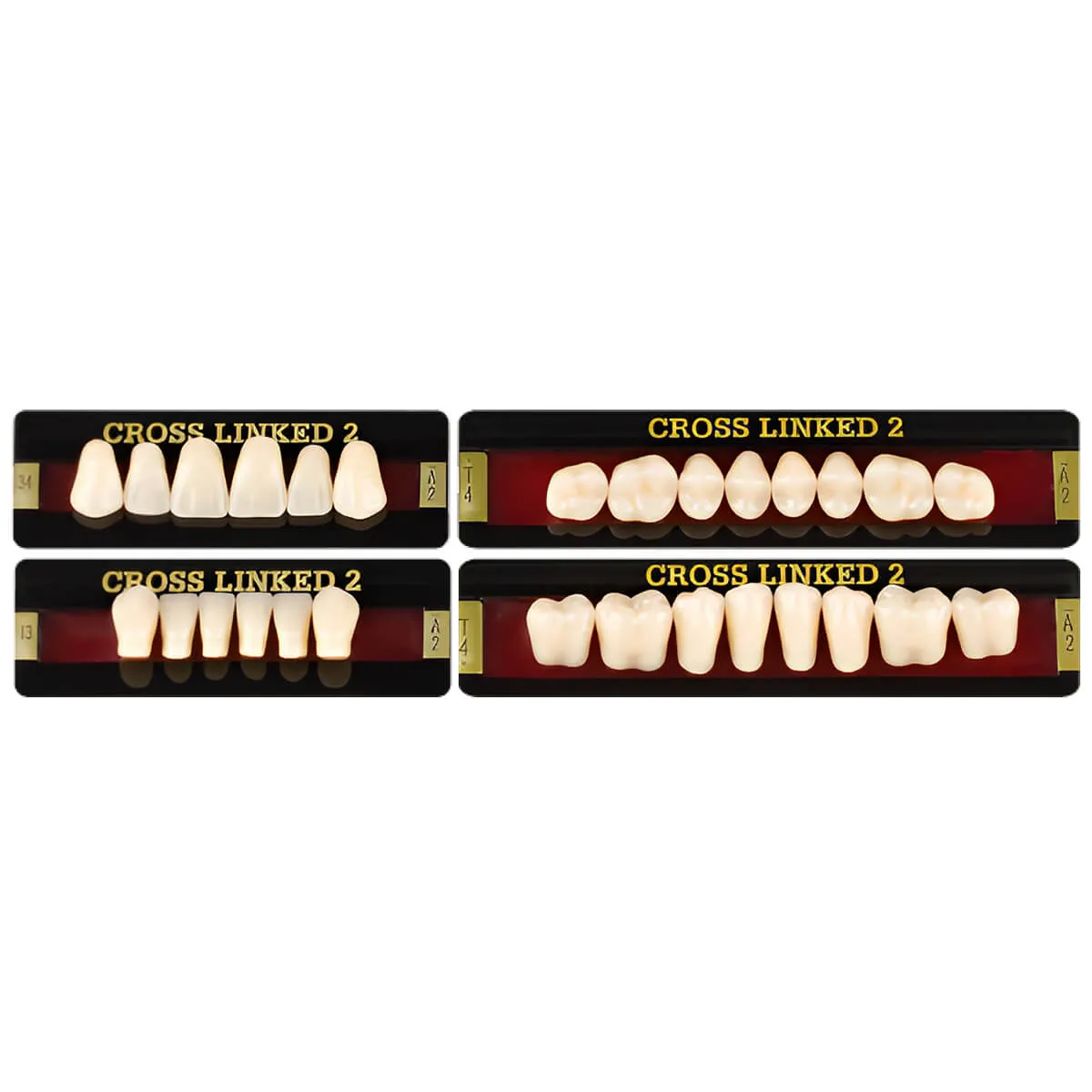 Cross Linked 2 Acrylic Teeth, A3.5 - L