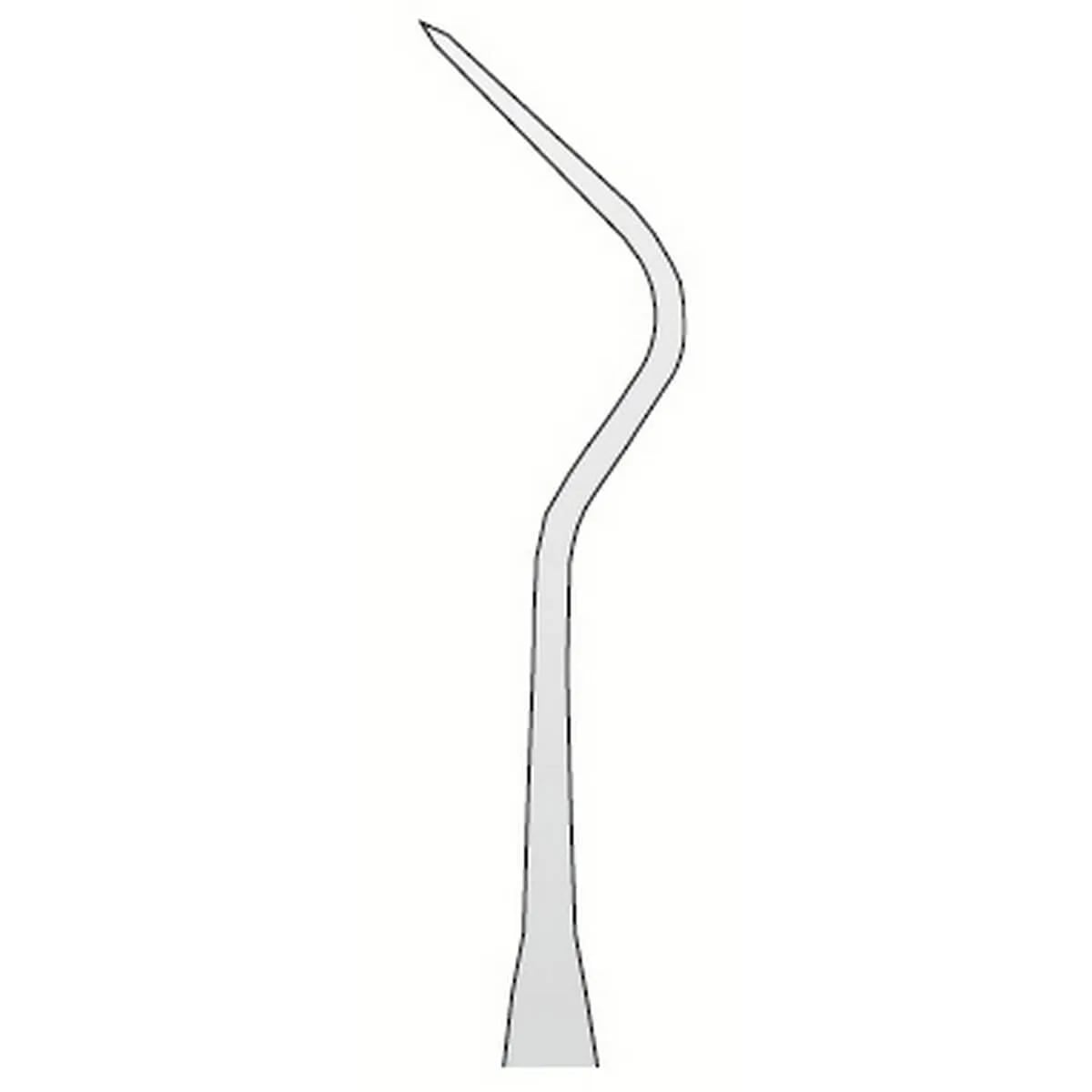 Explorer Anatomic N.10